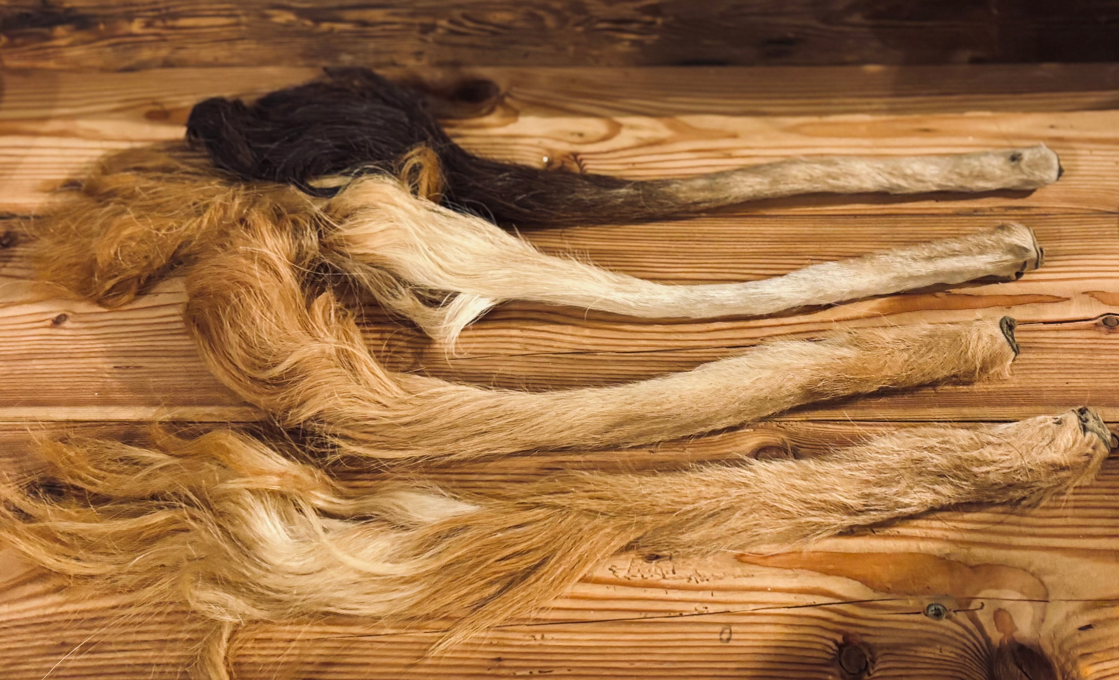 Kuhschweif mit Knochen